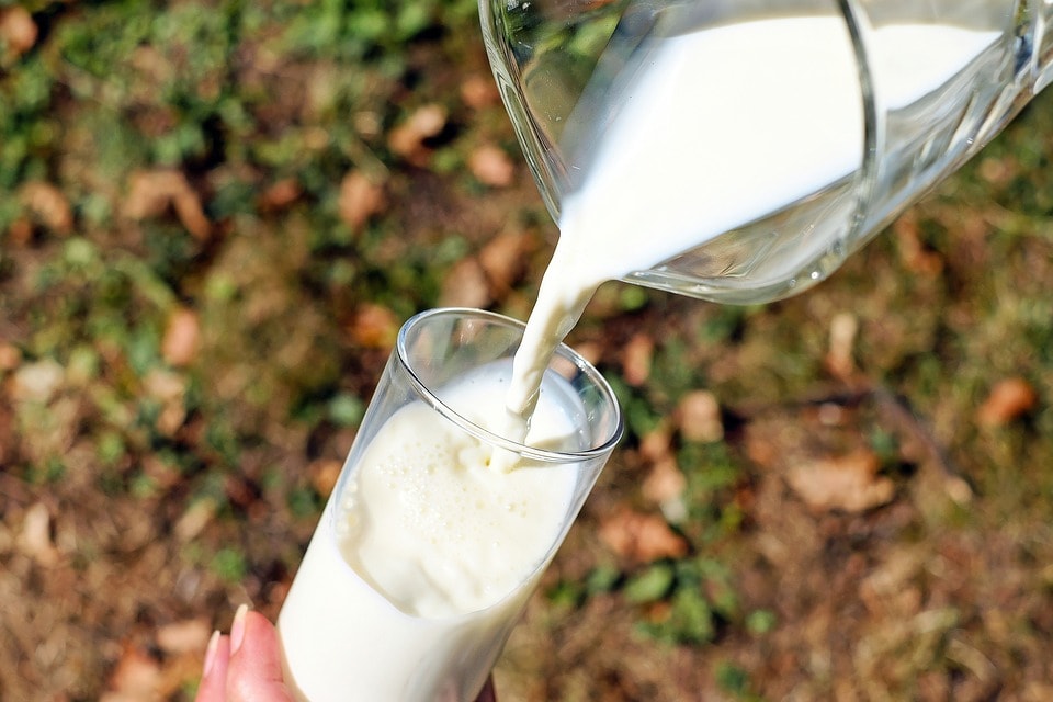 Milk in Dukan. Released?