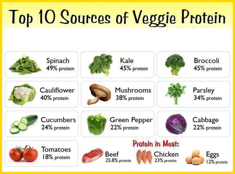 To Be or Not To Be: A Debate on Veganism To Be or Not To Be: A Debate on Veganism