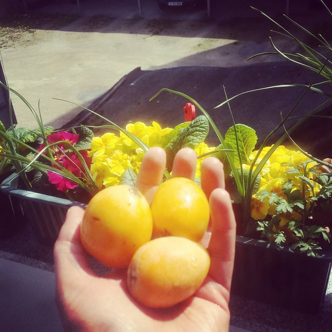 Ara ögün @sebastiansoylee
Pozu takliti…