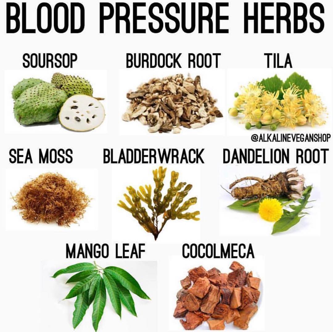 BLOOD PRESSURE HERBS!
Follow  for more health tips!
–
–
–
…