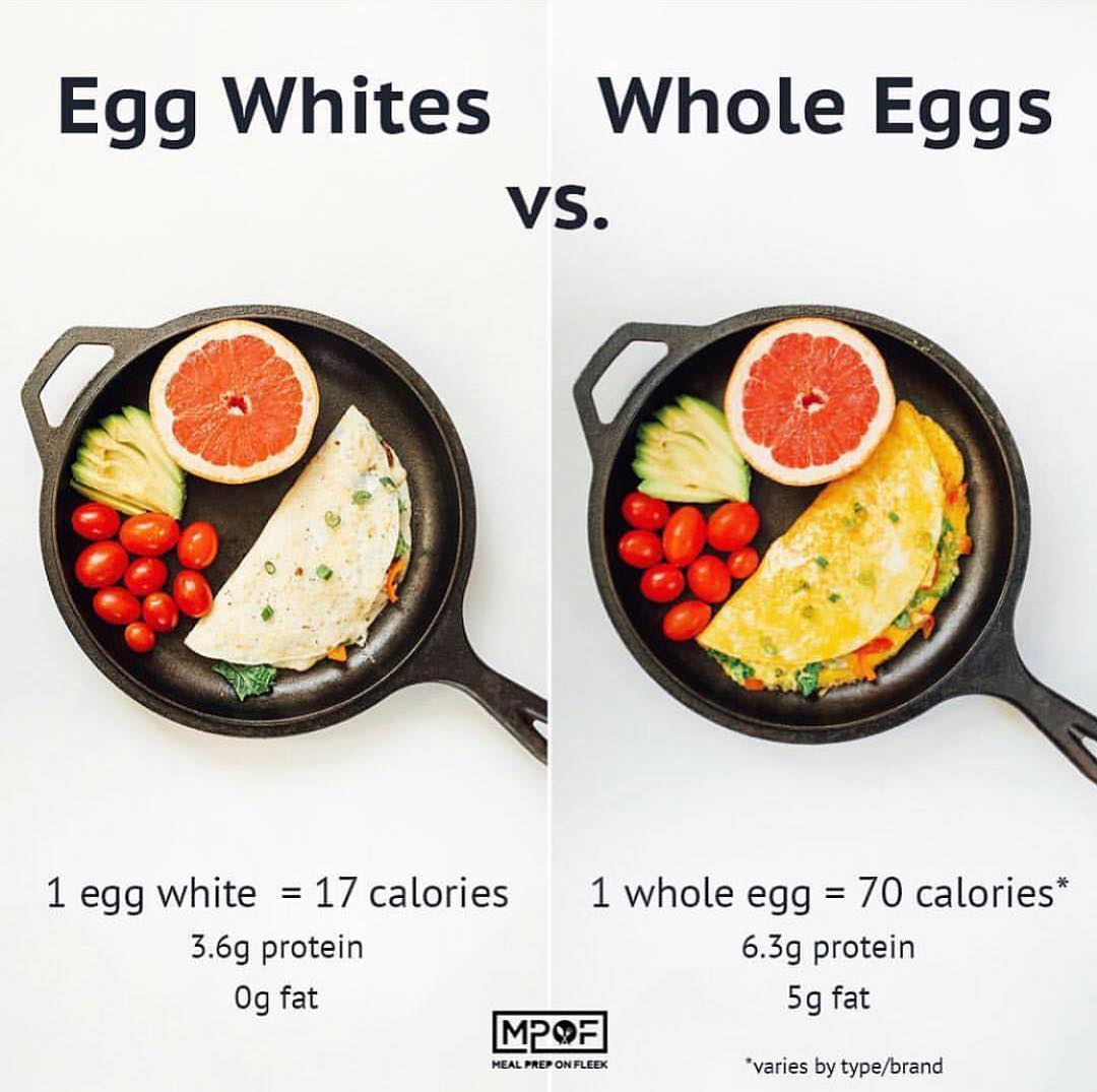 Egg white vs. the whole egg!   shows in this photo that there are pros & cons to…