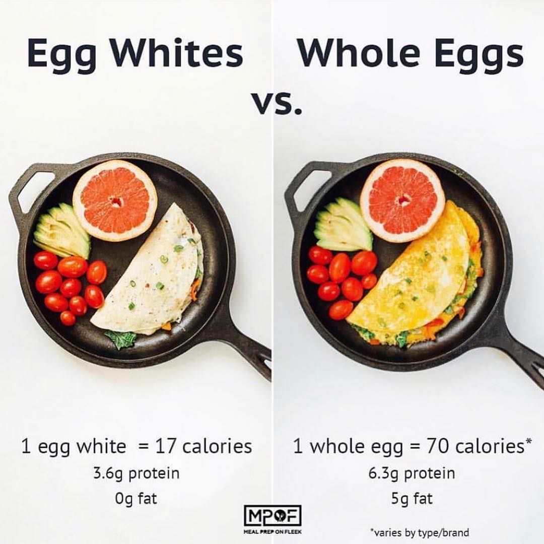 Egg white vs. the whole egg!  this photo shows that there are pros & cons to eac…