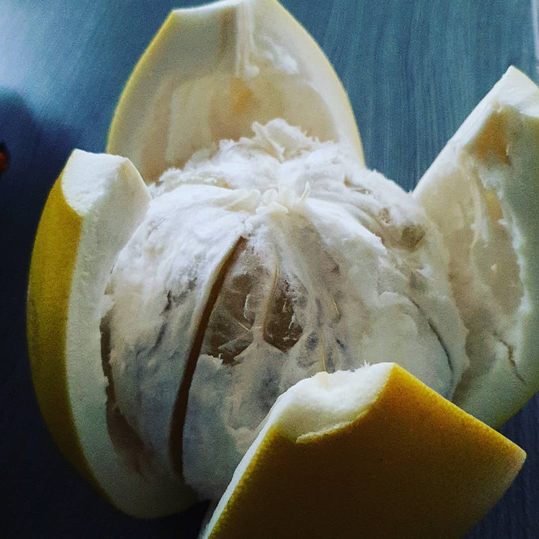 Pomelo nedir.Çin Greyfurdu, ağaç kavunu ya da  şadok  olarak bilinen Pomelo me…